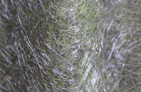 Hellifield fibreglass roof work